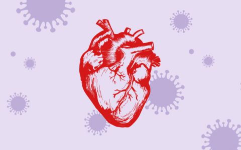 Covid-19 e as doenças cardiovasculares explicadas por um especialista