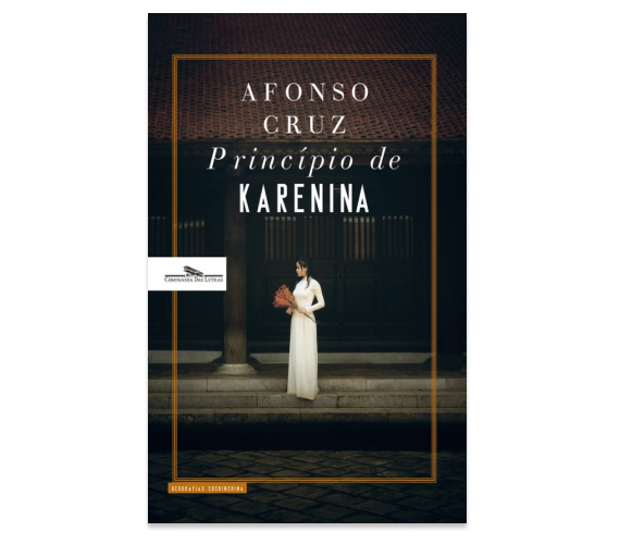 livro princípio de karenina