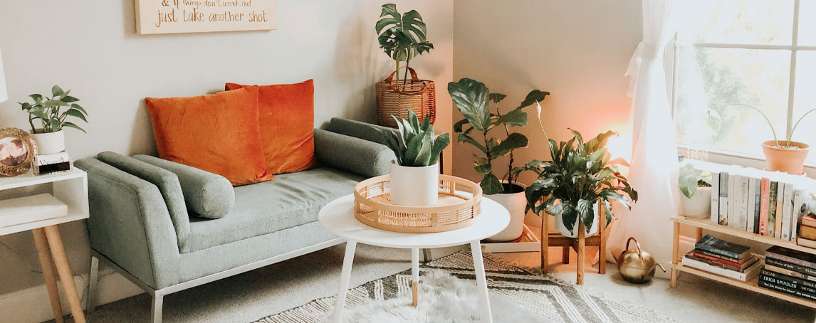 Crónica. Feng Shui e a sala de estar