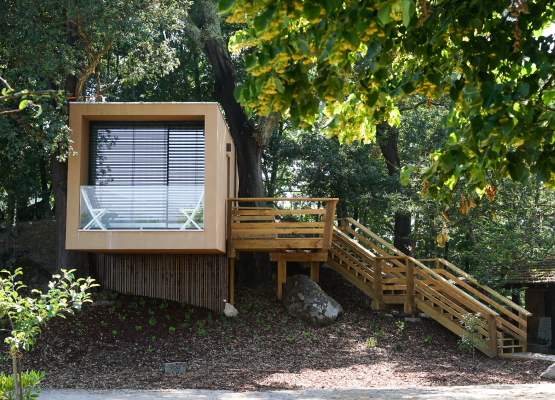 Quinta do Pomar Maior - Arouca