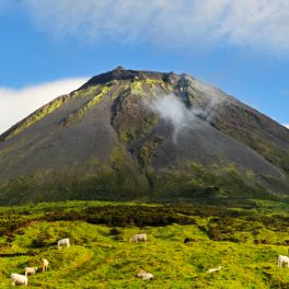 15 razões para visitar os arquipélagos dos Açores e da Madeira