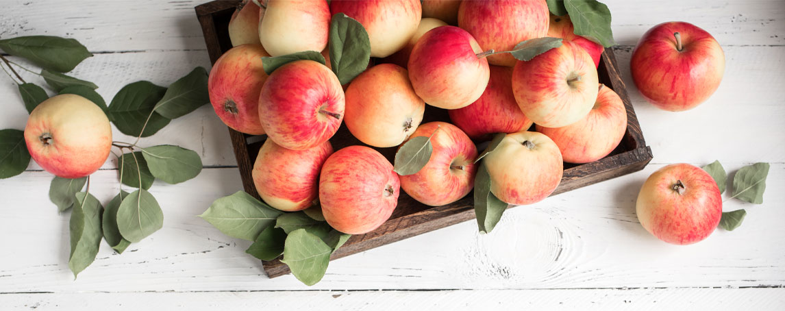 A Horta da Maria: receba um cabaz de frutas e legumes à porta de casa