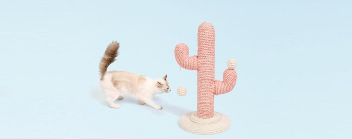16 arranhadores para gato que não estragam a decoração de casa