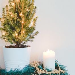 Árvores de Natal, das clássicas às mais originais para uma casa em festa