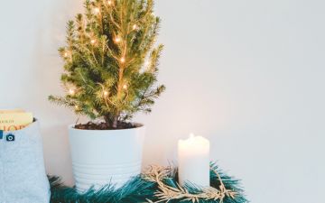 &Aacute;rvores de Natal, das cl&aacute;ssicas &agrave;s mais originais para uma casa em festa