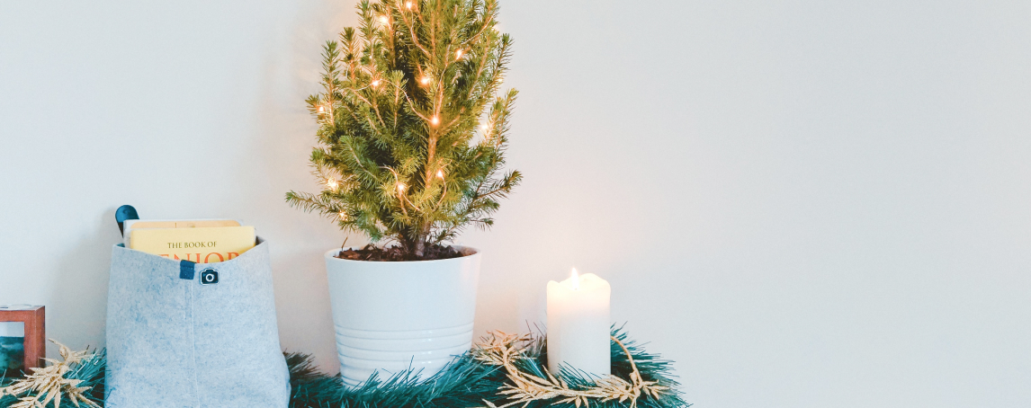 Árvores de Natal: escolha uma clássica ou mais original para sua casa