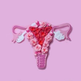 Histerossalpingografia: o exame que avalia quais as possíveis causas de infertilidade