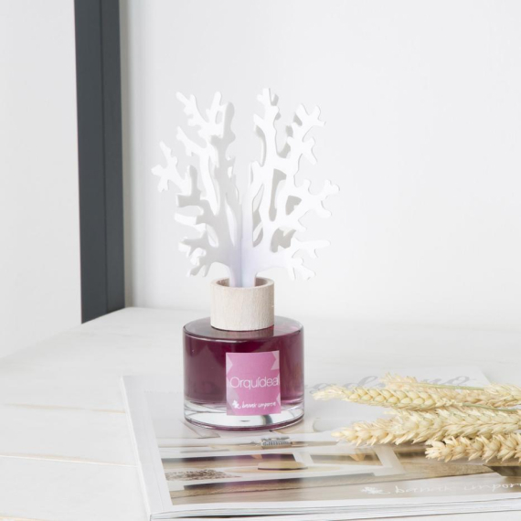 Coral Orquídea