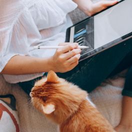 O guia para donos de cães e gatos a trabalhar em casa