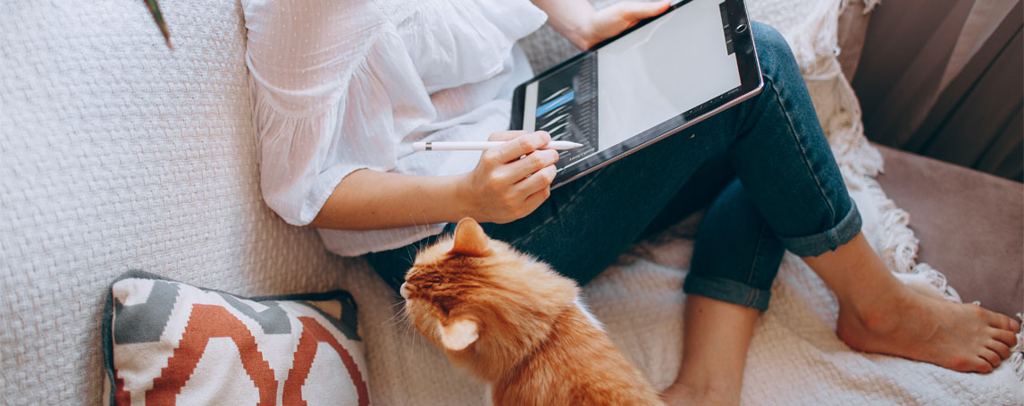O guia para donos de cães e gatos a trabalhar em casa