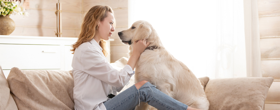 Estará o seu animal de companhia velho? Saiba o que fazer para o ajudar