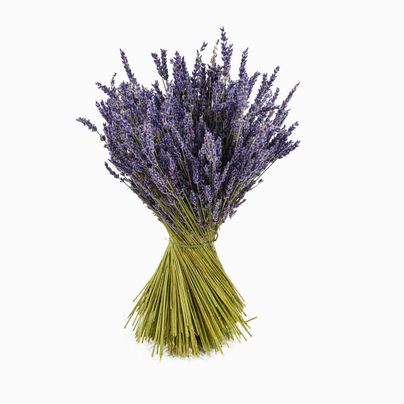 Lavanda seca