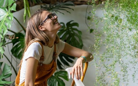 Ter plantas pode ajudar a reduzir a ansiedade, conclui estudo