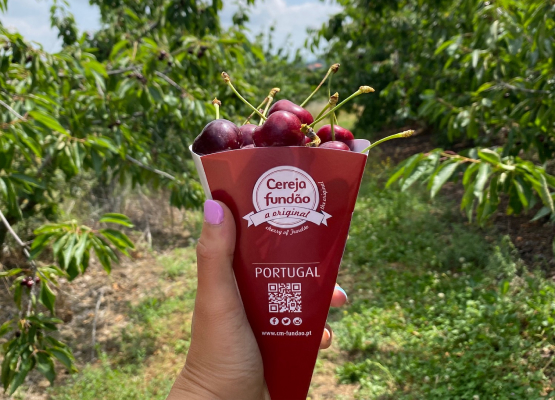 cerejas do fundão