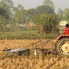 “Estamos no caminho de conseguir entregar aos consumidores alimentos saudáveis”