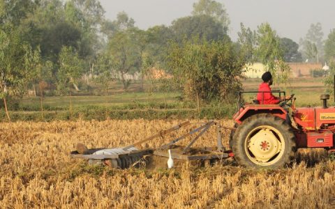 “Estamos no caminho de conseguir entregar aos consumidores alimentos saudáveis”