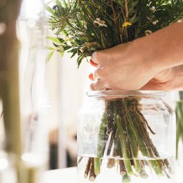 6 dicas para fazer as flores durem mais tempo
