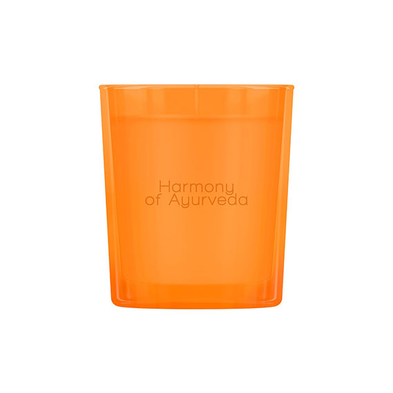 ayurveda-harmony-of-ayurveda