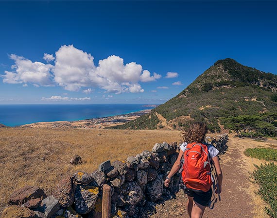 viagem madeira