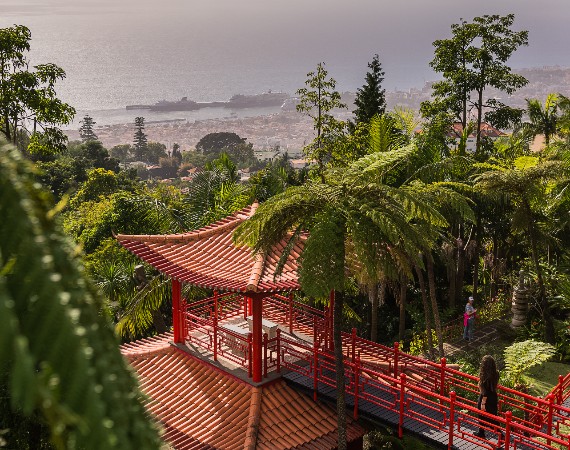 madeira funchal monte palace