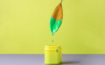 Greenwashing: saiba o que significa e como o podemos combater