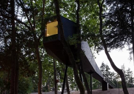 casa na árvore pedras salgadas