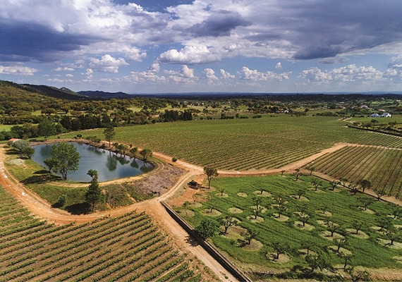 piquenique quinta da fonte souto