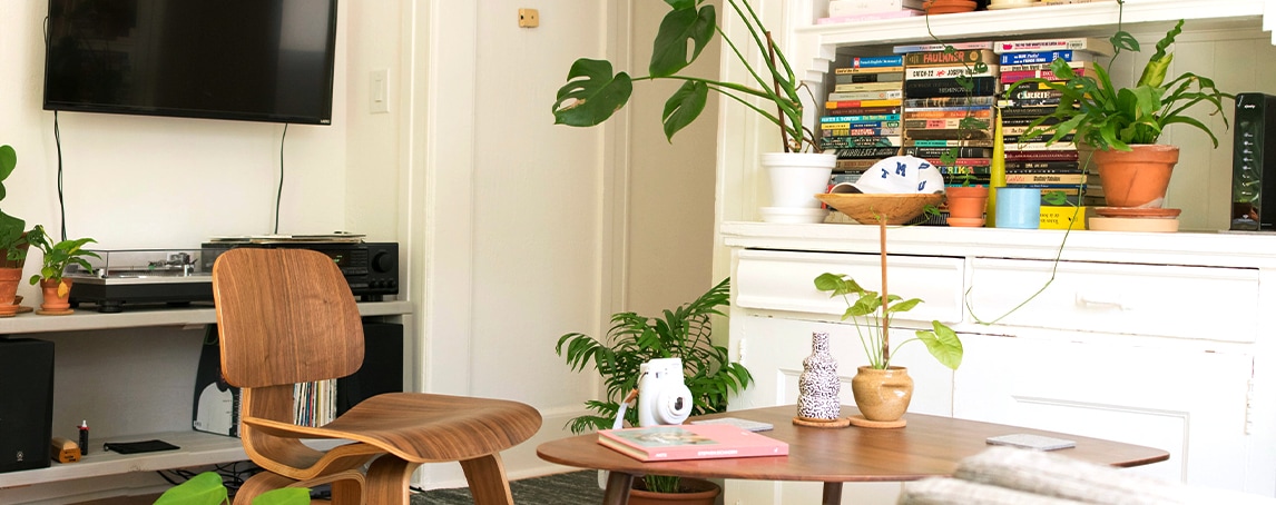 Crónica. Feng Shui e as plantas de interior
