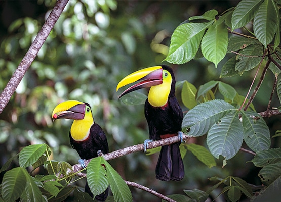 ecoturismo costarica