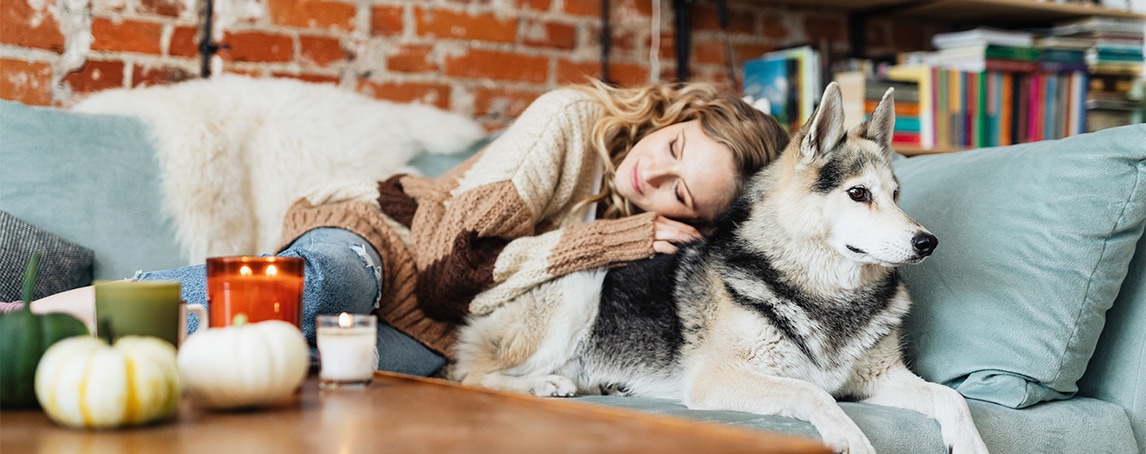 Estudo comprova que ter um cão diminui o stresse e ajuda a regular emoções