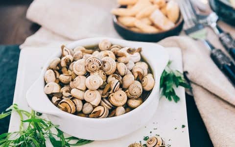 Como fazer caracóis, o petisco nutritivo do verão