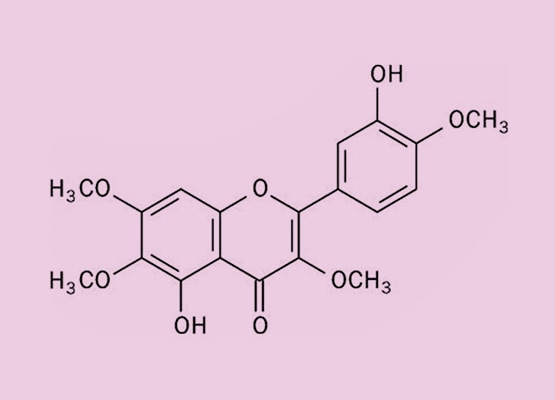 Prolactina - A influenciadora tripla