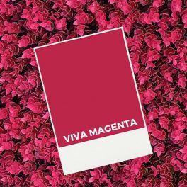 Viva Magenta: a cor Pantone de 2023 que exala coragem e otimismo