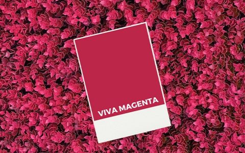 Viva Magenta: a cor Pantone de 2023 que exala coragem e otimismo