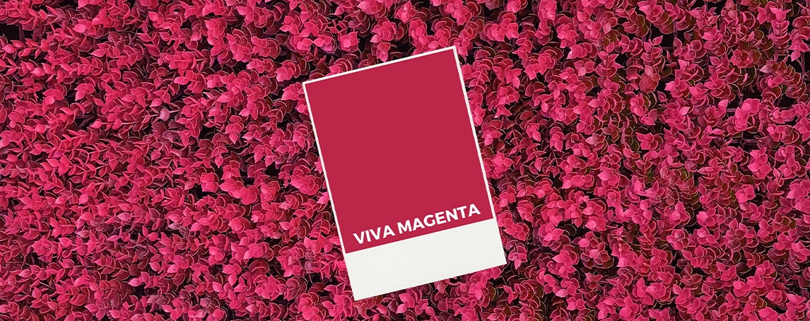 Viva Magenta: a cor Pantone de 2023 - Saber Viver