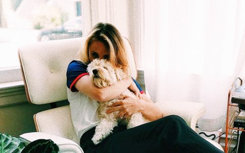 Os melhores cães para ter num apartamento (e os cuidados a ter)