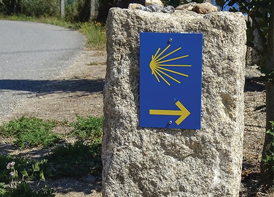 caminhos que vai dar a Santiago de Compostela