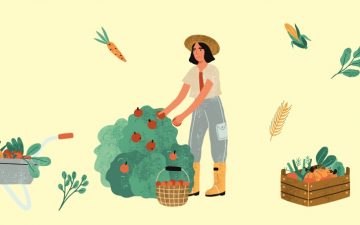 As vantagens ambientais de ter uma horta em casa