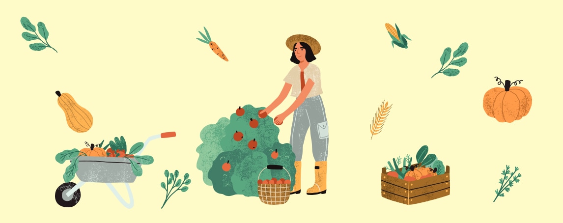 As vantagens ambientais de ter uma horta em casa