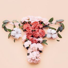 Na flor da idade: a celebração da menopausa