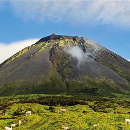 No Pico do relaxamento: descubra os retiros de bem-estar das Lava Homes