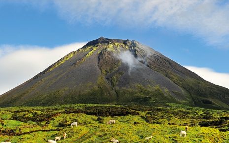 No Pico do relaxamento: descubra os retiros de bem-estar das Lava Homes