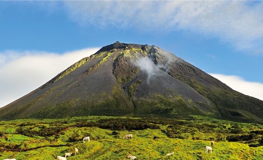 No Pico do relaxamento: descubra os retiros de bem-estar das Lava Homes