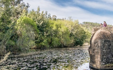 5 atividades para celebrar a chegada da primavera