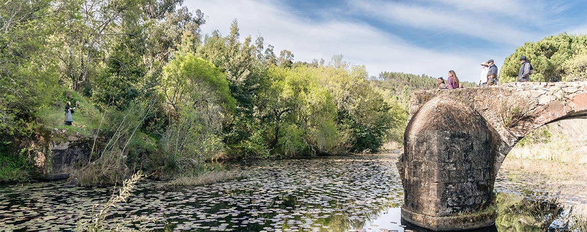 5 atividades para celebrar a chegada da primavera