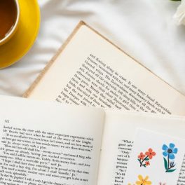 Book Club: os livros que a reda&ccedil;&atilde;o quer ler em abril