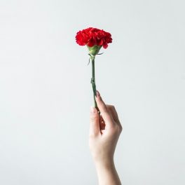10 formas de celebrar o 25 de abril