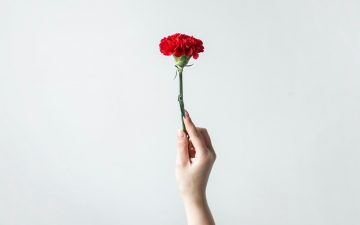 10 formas de celebrar o 25 de abril