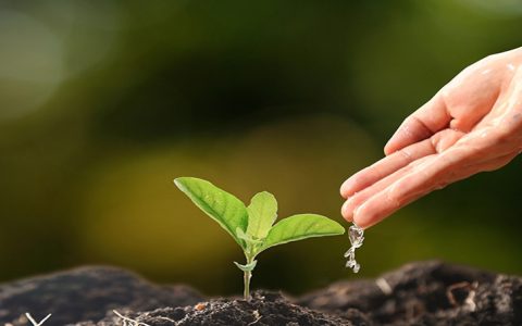 A Caudalie plantou milhares de árvores em Portugal e a Saber Viver também sujou as mãos de terra