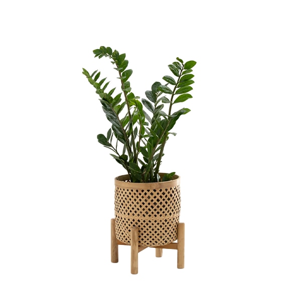 Vaso com suporte em bambu